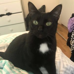 Meet your Posher, Mya